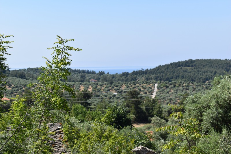 Οικόπεδο 950 τ.μ. πρός πώληση, Ν. Καβάλας, Θάσος
