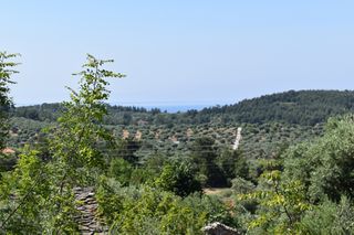 Οικόπεδο 950 τ.μ. για πώληση, Ν. Καβάλας, Θάσος-thumb-3