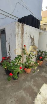 Διαμέρισμα 73τ.μ. για πώληση-Ηράκλειο κρήτης » Δειλινά