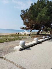 Αγροτεμάχια 4.031 τ.μ. για πώληση