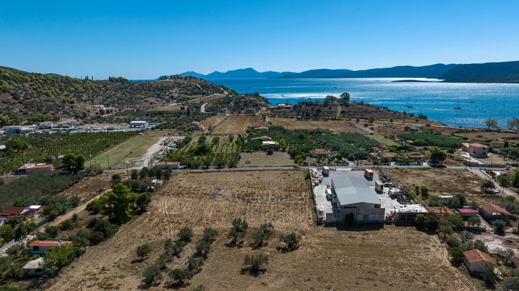 Αγροτεμάχια 37.210 τ.μ. προς πώληση, Άγιοι Ανάργυροι Ερμιόνης