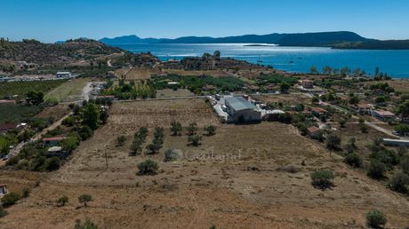 Parcel 37.210sqm for sale-Ermioni » Agioi Anargiroi