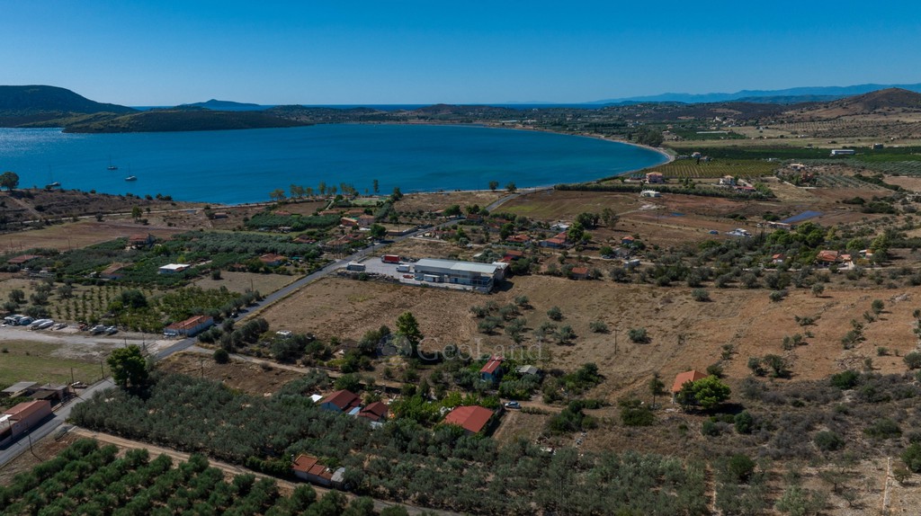 Αγροτεμάχια 37.210 τ.μ. προς πώληση, Άγιοι Ανάργυροι Ερμιόνης