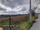 Οικόπεδο 4.200τ.μ. για πώληση-Βάρη- βάρκιζα » Ασύρματος αλίανθου
