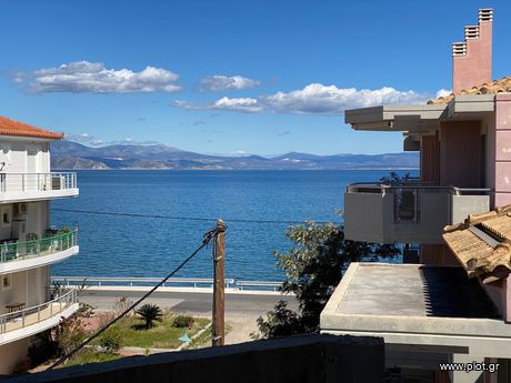 Building 426 sqm for sale