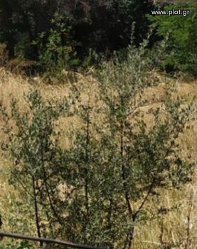Οικόπεδο 361τ.μ. για πώληση-Ελληνικό » Κάτω σούρμενα