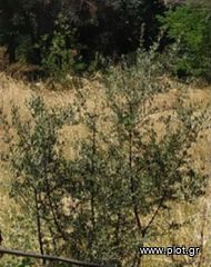 Οικόπεδο 361 τ.μ. για πώληση