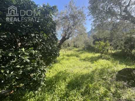 Αγροτεμάχια 550 τ.μ. για πώληση