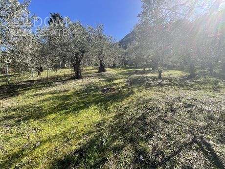 Αγροτεμάχια 1.700 τ.μ. για πώληση