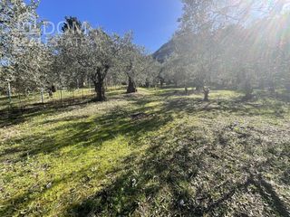 Αγροτεμάχια 1.700 τ.μ. για πώληση