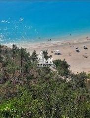 Αγροτεμάχια 18.100 τ.μ. για πώληση