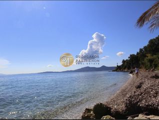 Αγροτεμάχια 70.000 τ.μ. για πώληση