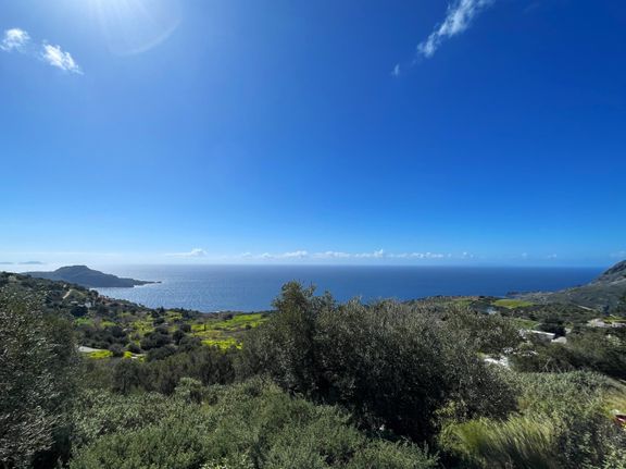 Αγροτεμάχια 4.831 τ.μ. για πώληση, Ν. Ρεθύμνου, Φοινίκας