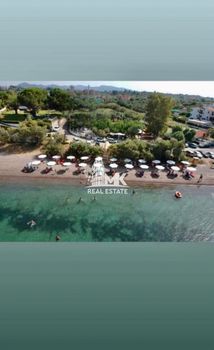 Οικόπεδο 1.250τ.μ. για πώληση-Βραχναίικα » Ανεμόμυλος