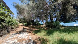 Ξενοδοχείο 916 τ.μ. για πώληση, Ν. Λευκάδας, Λευκάδα-thumb-8