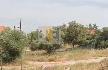 Land plot 242sqm for sale-Paiania » Agios Andreas