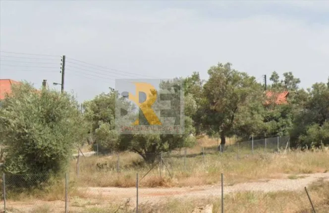 Land plot 242 sqm for sale, Athens - East, Paiania