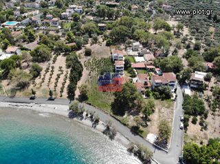 Οικόπεδο 3.550 τ.μ. πρός πώληση, Αχαΐα, Ερίνεο-thumb-1