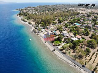 Οικόπεδο 3.550 τ.μ. πρός πώληση, Αχαΐα, Ερίνεο-thumb-4