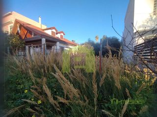 Οικόπεδο 200 τ.μ. για ενοικίαση, Αχαΐα, Πάτρα-thumb-9