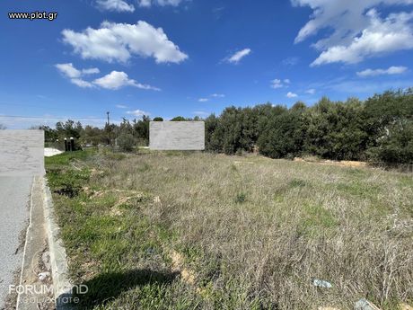 Αγροτεμάχια 5.100τ.μ. για πώληση-Θέρμη