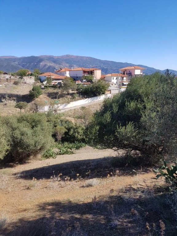 Αγροτεμάχια 1.550 τ.μ. πρός πώληση, Μαγνησία, Νέα Ιωνία Βόλου