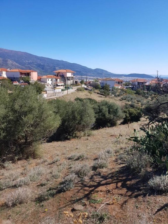 Αγροτεμάχια 1.550 τ.μ. πρός πώληση, Μαγνησία, Νέα Ιωνία Βόλου