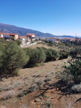Αγροτεμάχια 1.550τ.μ. για πώληση-Νέα ιωνία βόλου » Μελισσάτικα