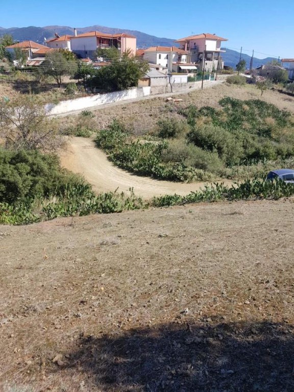 Αγροτεμάχια 1.550 τ.μ. πρός πώληση, Μαγνησία, Νέα Ιωνία Βόλου
