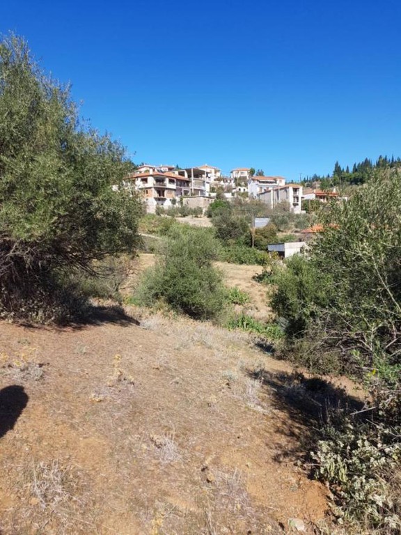 Αγροτεμάχια 1.550 τ.μ. πρός πώληση, Μαγνησία, Νέα Ιωνία Βόλου