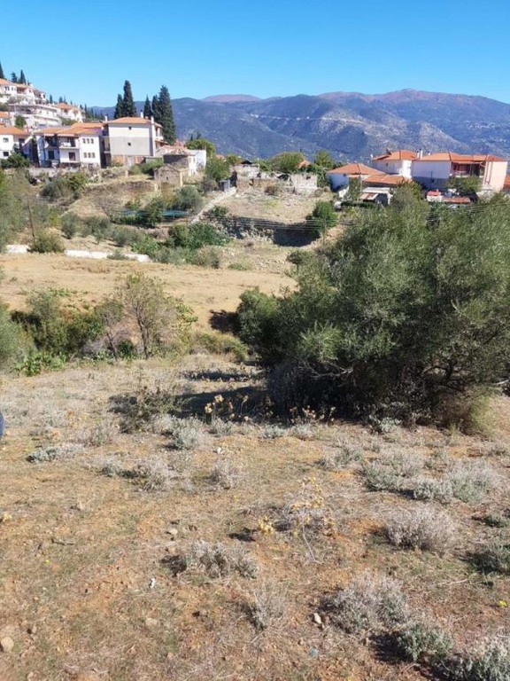 Αγροτεμάχια 1.550 τ.μ. πρός πώληση, Μαγνησία, Νέα Ιωνία Βόλου