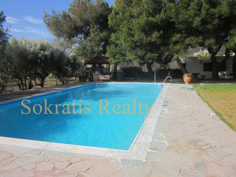 Οικόπεδο 45.000τ.μ. για πώληση-Σούνιο