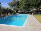 Οικόπεδο 45.000τ.μ. για πώληση-Σούνιο