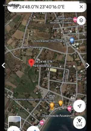 Οικόπεδο 1.217 τ.μ. για ενοικίαση, Εύβοια, Ληλάντιο