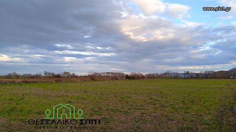 Αγροτεμάχια 20.000τ.μ. για πώληση-Γόμφοι » Κέντρο
