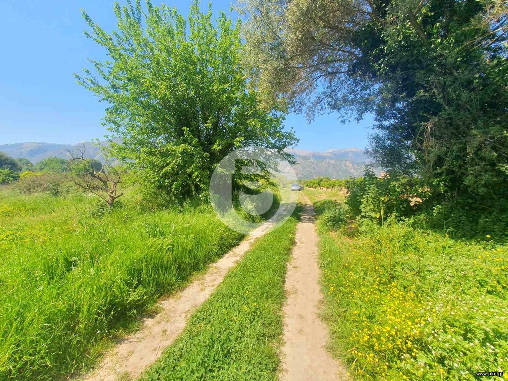 Αγροτεμάχια 1.585 τ.μ. προς πώληση, Νέος Κόσμος Σπάρτης