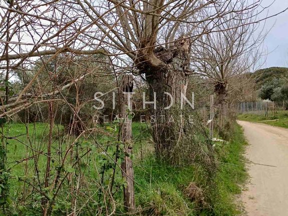 Parcel 739 sqm for sale, Chalkidiki, Toroni