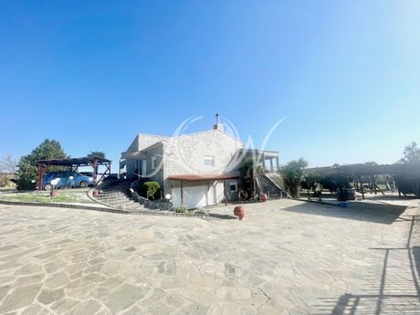 Detached home 380sqm for sale-Alexandroupoli » Nea Chili