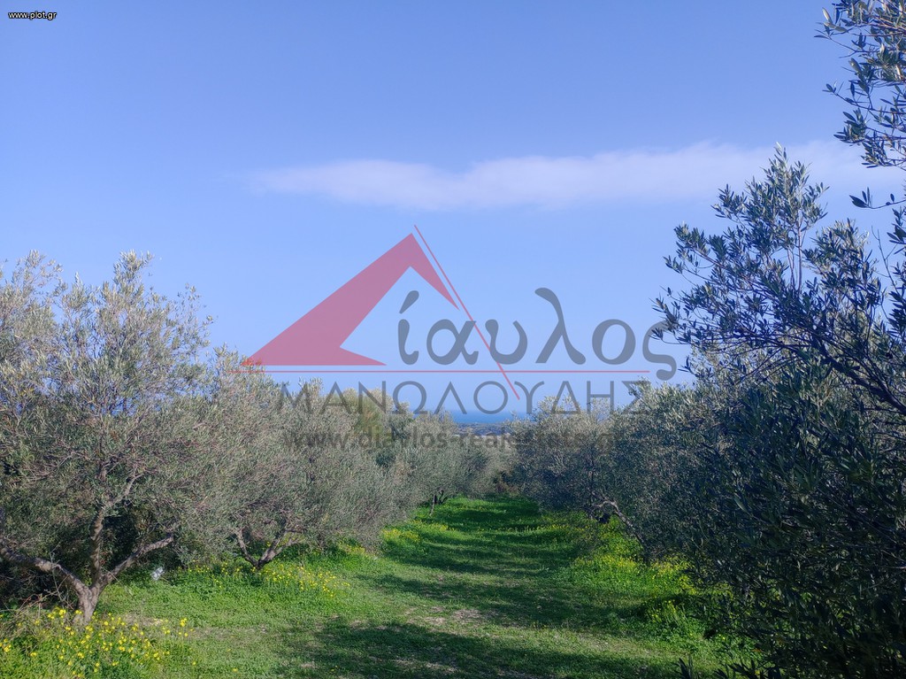 Αγροτεμάχια 7.095 τ.μ. πρός πώληση, Ν. Ρεθύμνου, Αρκάδι