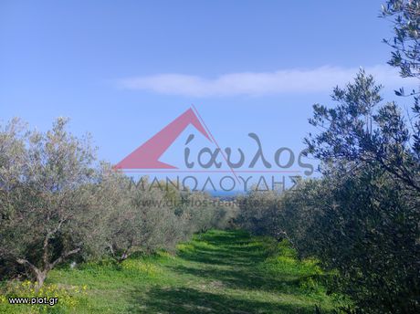 Αγροτεμάχια 7.095τ.μ. για πώληση-Αρκάδι » Σκουλούφια