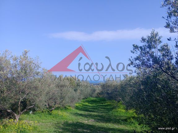 Αγροτεμάχια 7.095 τ.μ. για πώληση, Ν. Ρεθύμνου, Αρκάδι