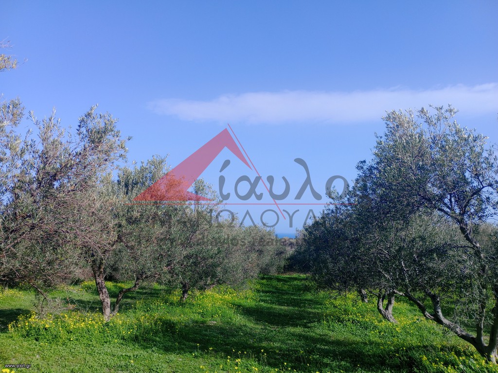 Αγροτεμάχια 7.095 τ.μ. πρός πώληση, Ν. Ρεθύμνου, Αρκάδι