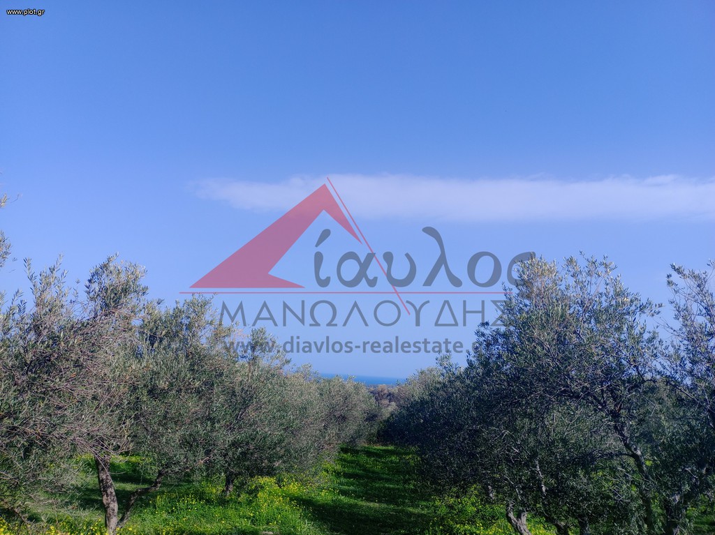 Αγροτεμάχια 7.095 τ.μ. πρός πώληση, Ν. Ρεθύμνου, Αρκάδι