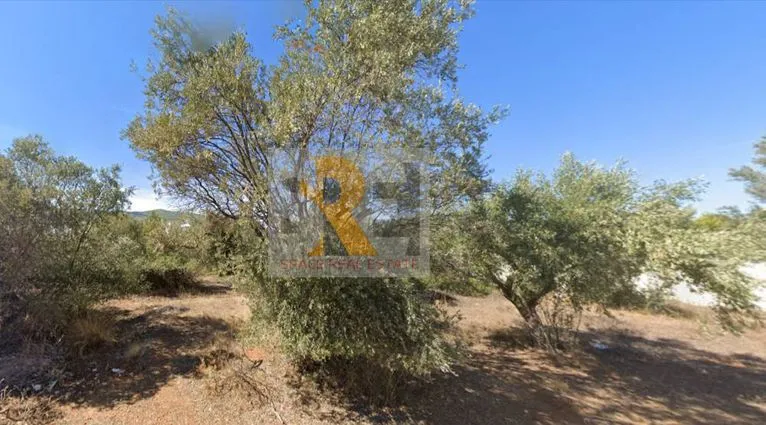 Land plot 412 sqm for sale, Athens - East, Paiania