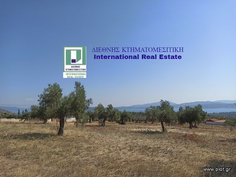Αγροτεμάχια 4.580τ.μ. για πώληση-Μέγαρα » Κέντρο