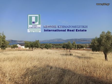 Αγροτεμάχια 4.580τ.μ. για πώληση-Νέα πέραμος (μεγάλο πεύκο) » Νέα πέραμος