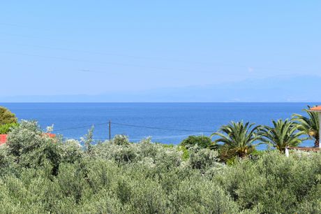 Αγροτεμάχια 2.000τ.μ. για πώληση-Θάσος » Σκάλα καλλιράχης