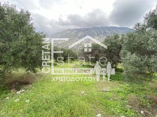 Αγροτεμάχια 2.600 τ.μ. προς πώληση, Καβούσι Ιεράπετρας-thumb-6