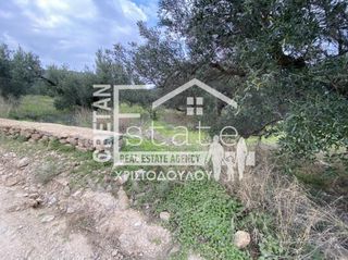 Αγροτεμάχια 2.600 τ.μ. προς πώληση, Καβούσι Ιεράπετρας-thumb-9