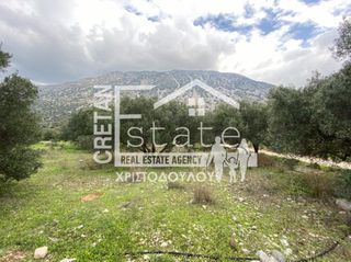 Αγροτεμάχια 2.600 τ.μ. προς πώληση, Καβούσι Ιεράπετρας-thumb-2